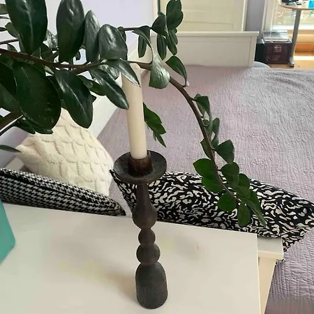 Apartament Stylish 3-bdrm Apt. W/ Terraces Next To The Haga